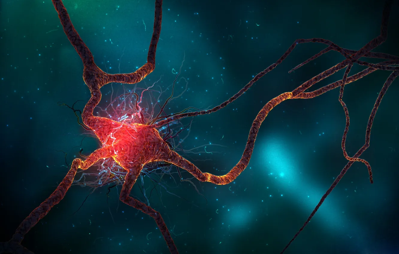 Photo wallpaper Nerves, neurons, neuron spike train