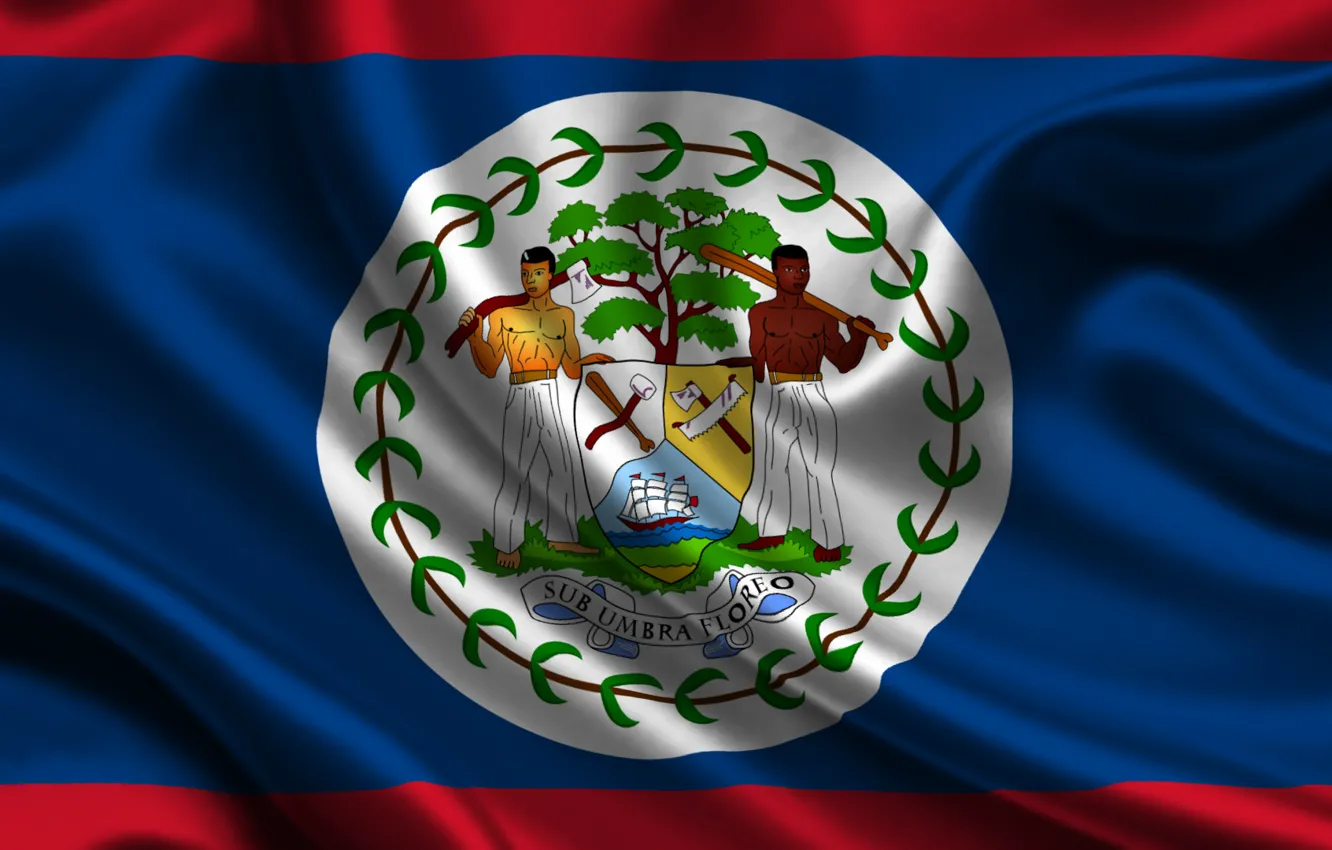 Photo wallpaper Red, Blue, Flag, Coat of arms, Texture, Flag, Belize, Belize