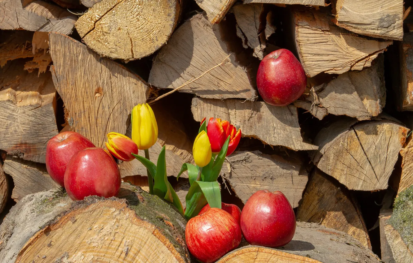 Photo wallpaper flowers, apples, tulips
