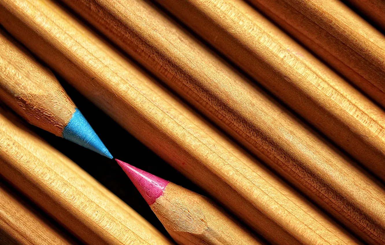 Photo wallpaper macro, background, pencils