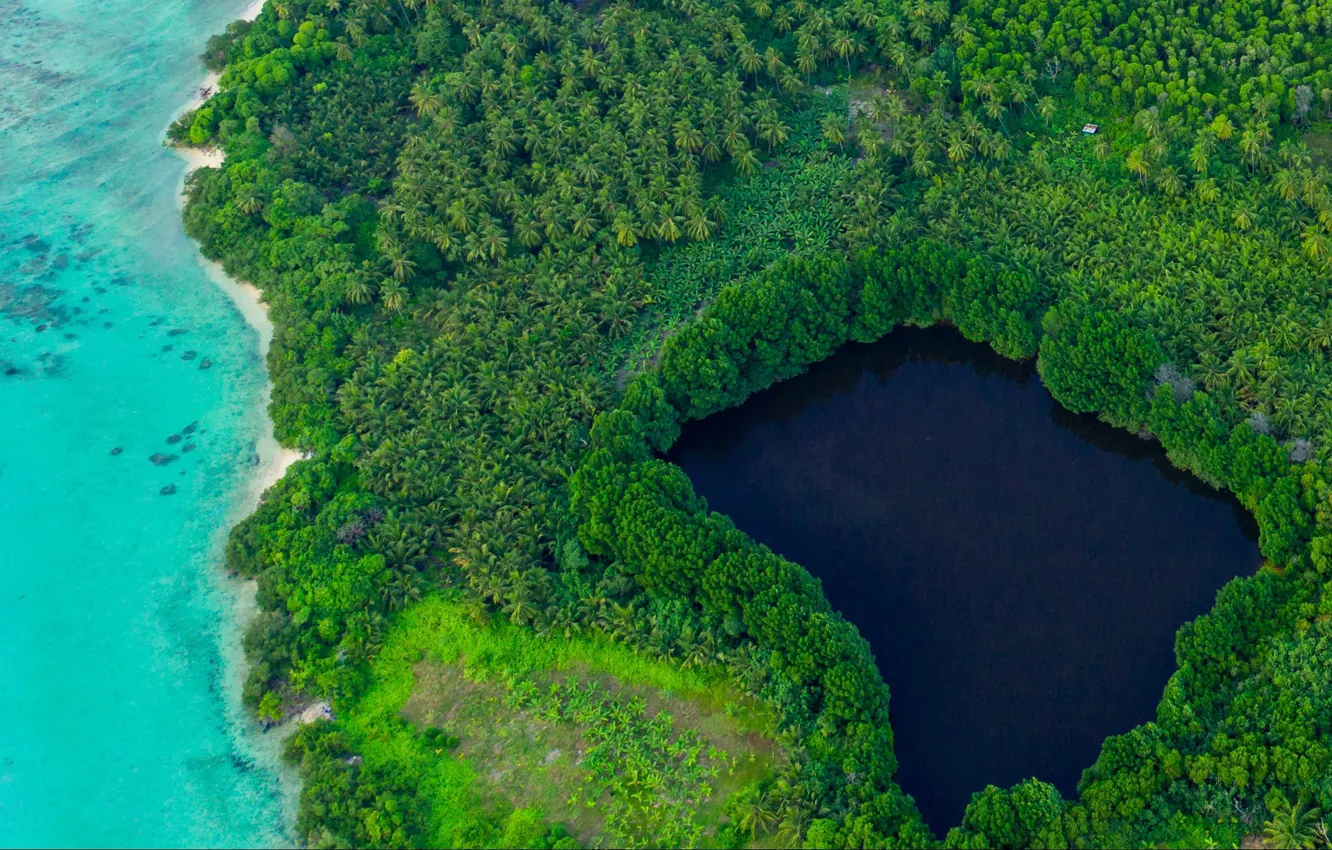 Photo wallpaper nature, palm trees, the ocean, island, Laguna, the view from the top