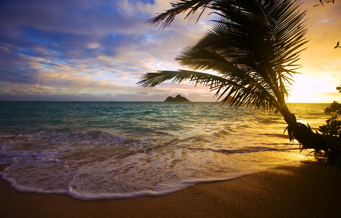 Photo wallpaper sea, sunset, tropics, Palma, coast