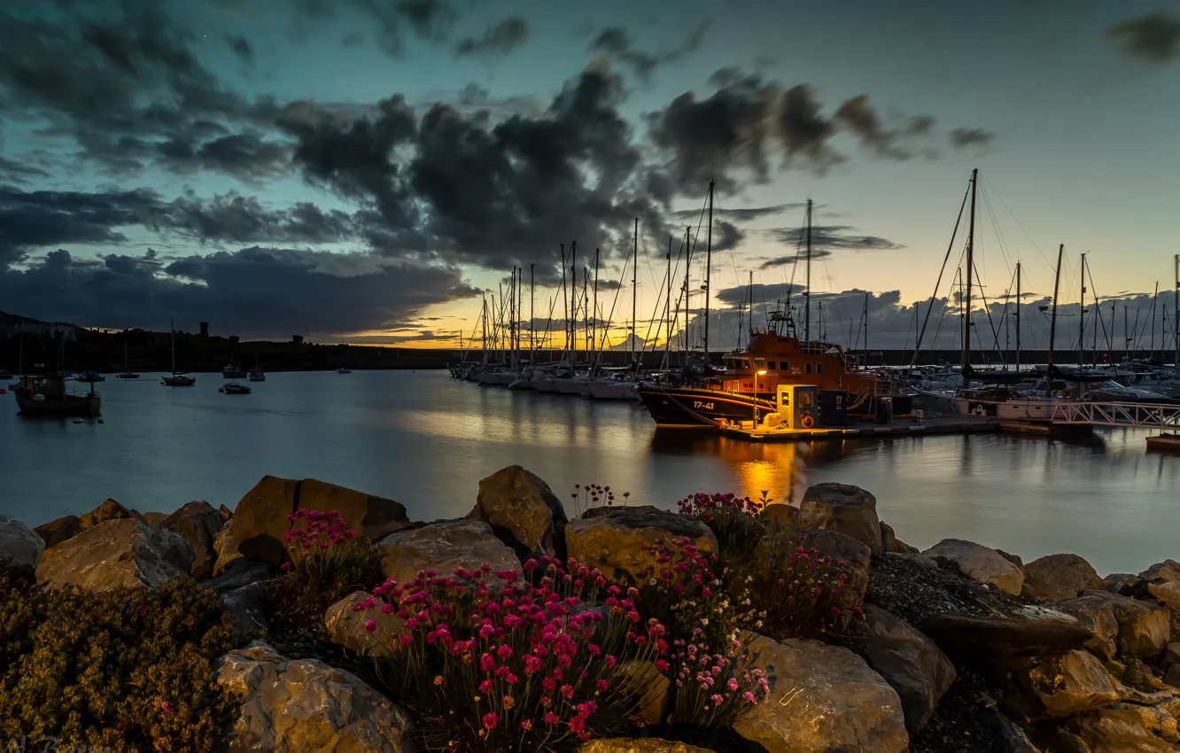 Photo wallpaper sea, the sky, clouds, sunset, flowers, stones, shore, Bay
