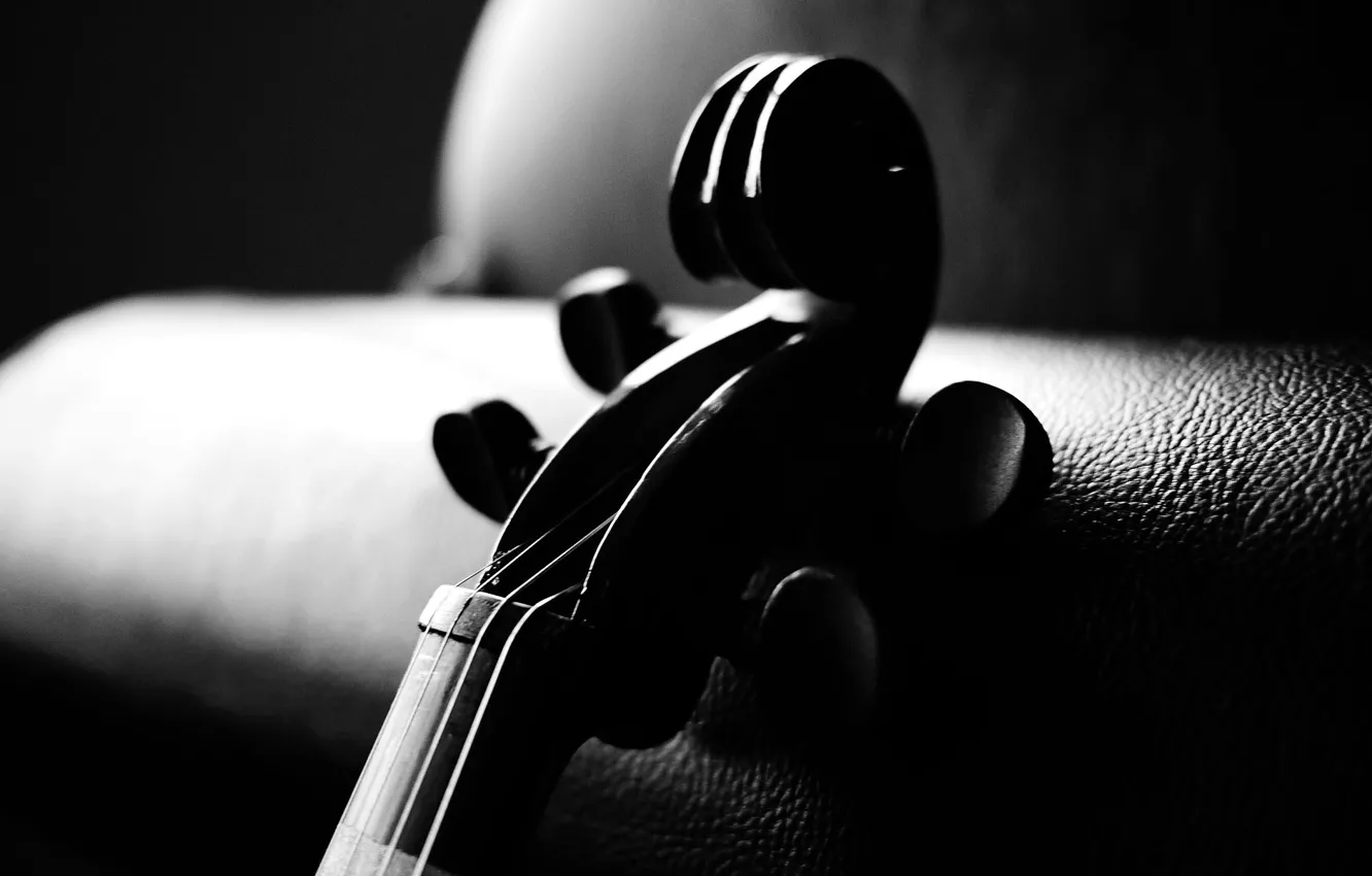 Photo wallpaper violin, Minimalism, couch, a musical instrument