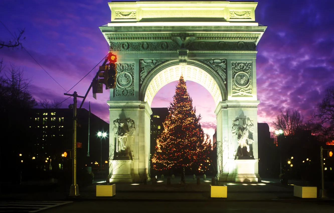 Photo wallpaper night, tree, arch, Washington Square Park