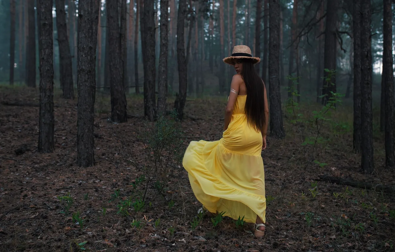 Photo wallpaper forest, photoshoot, Alexander, Vadim Mironov