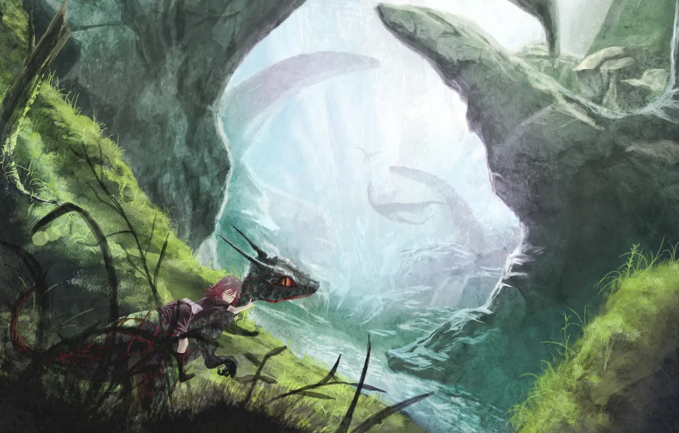 Photo wallpaper grass, girl, dragon, hugs, top