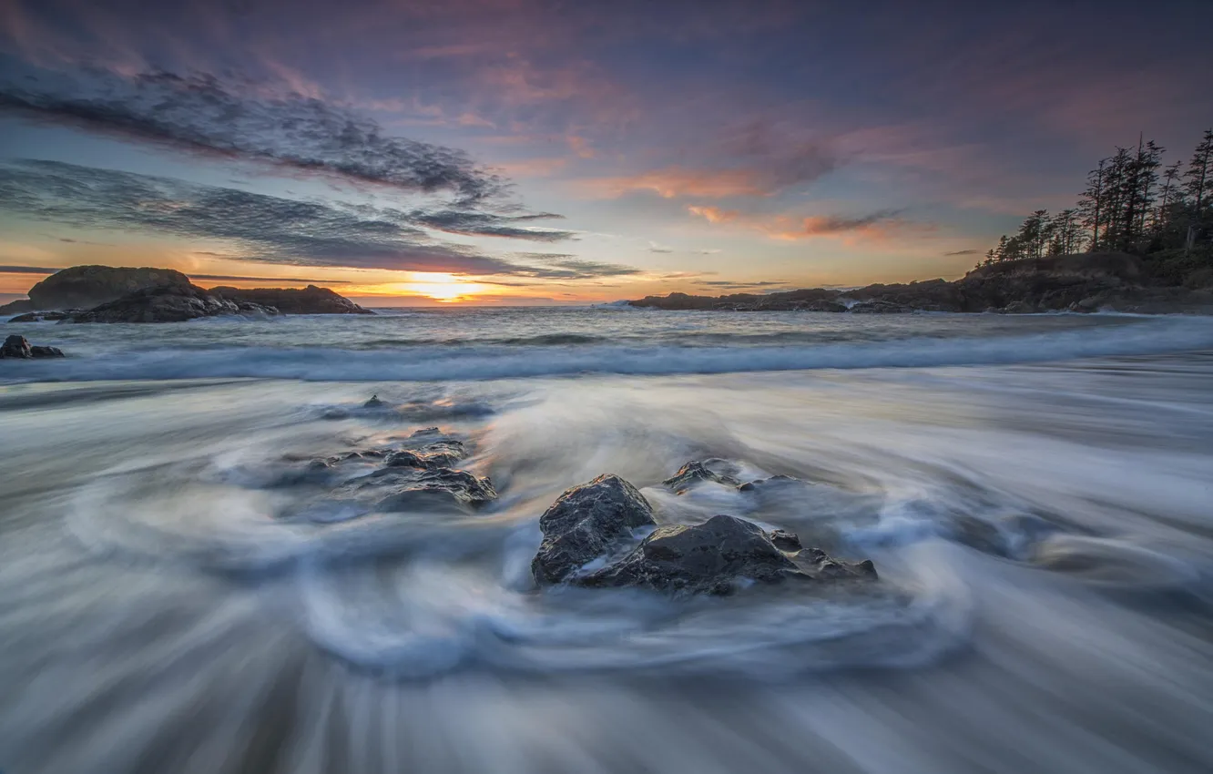 Photo wallpaper sea, trees, sunset, stones, rocks, coast