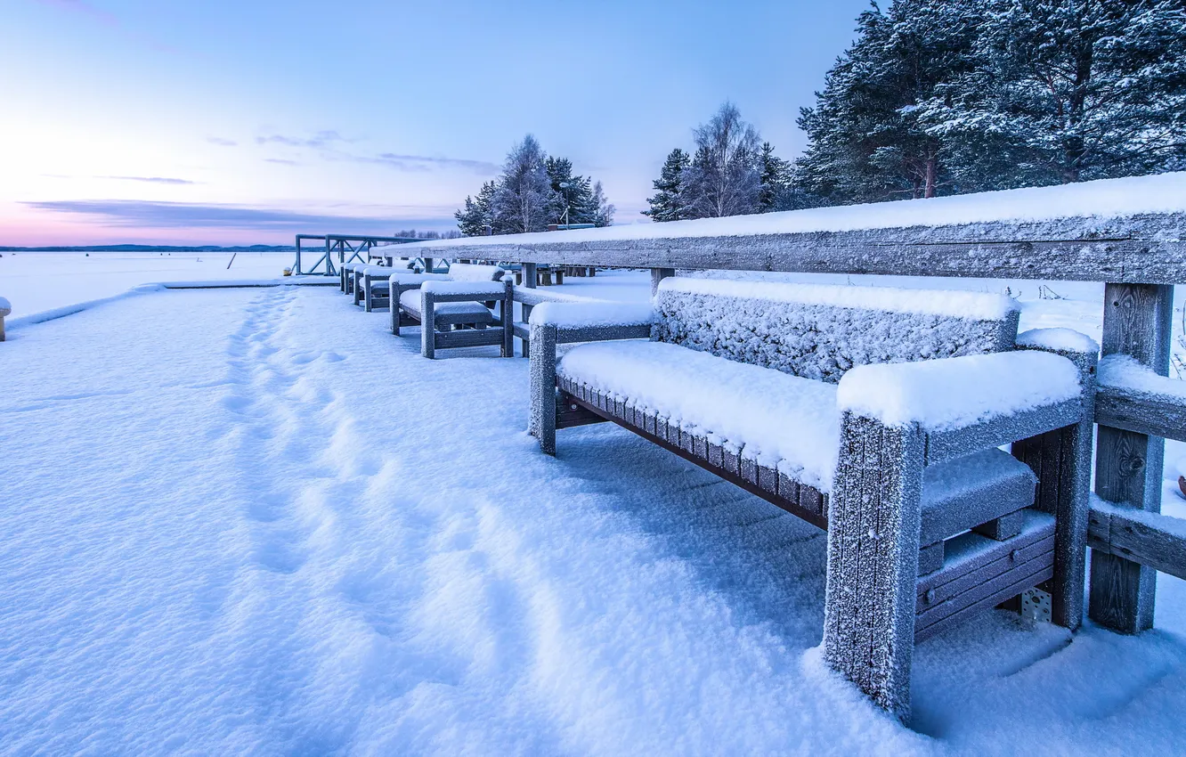 Photo wallpaper winter, snow, bench