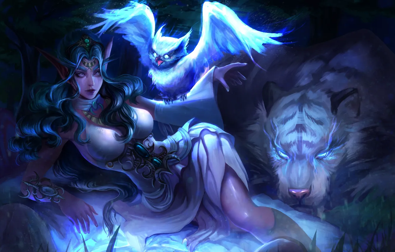 Photo wallpaper tiger, owl, elf, figure, art, World of Warcraft, Night Elf, warcraft