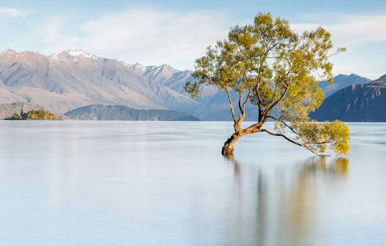 Photo wallpaper landscape, mountains, tree, New Zealand, lake Wanaka, Wanaka