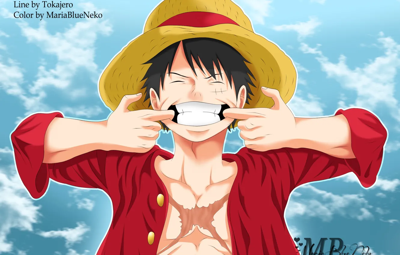 Photo wallpaper smile, hat, guy, One Piece, scar
