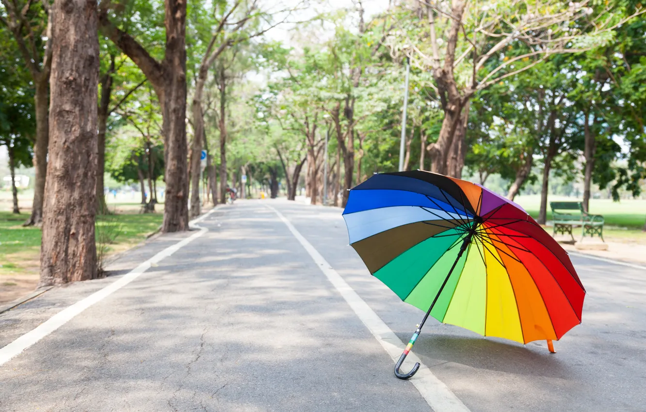 Photo wallpaper road, summer, trees, Park, rainbow, umbrella, colorful, rainbow