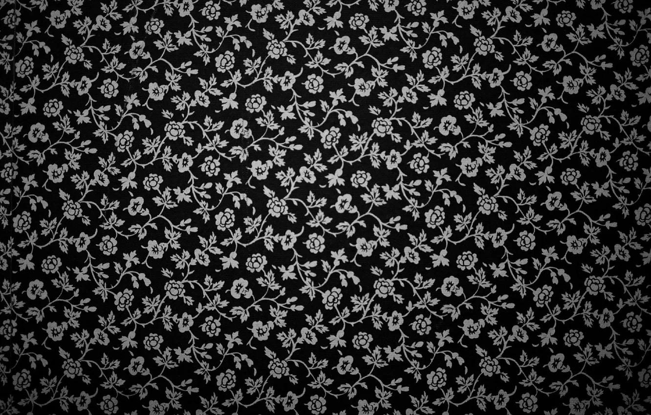 Photo wallpaper roses, texture, h\b, climbing rose