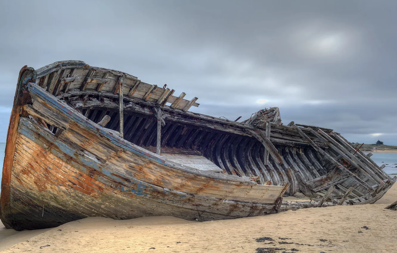 Photo wallpaper sand, the sky, the wreckage, trees, overcast, mood, shore, coast
