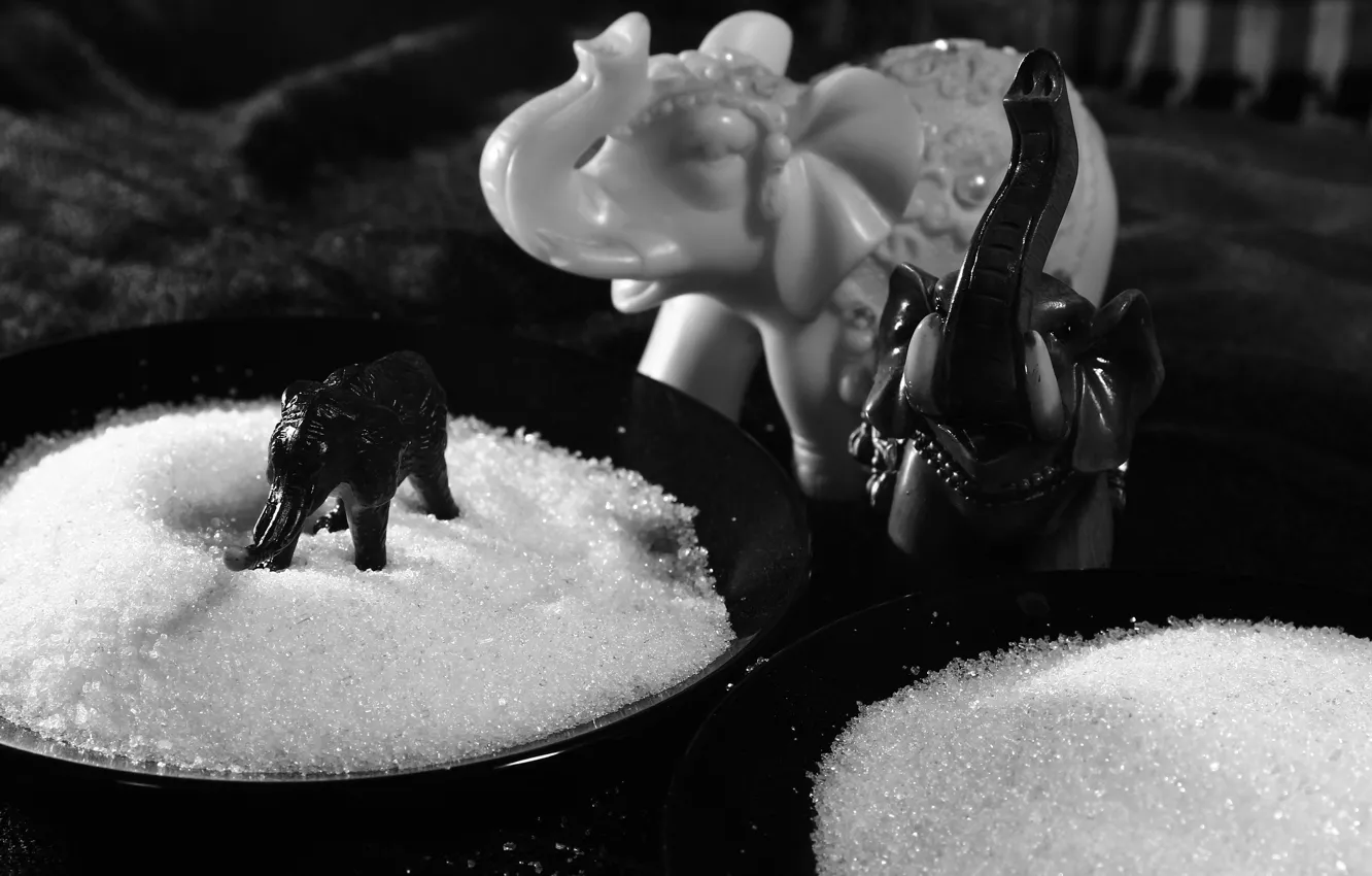 Photo wallpaper toy, elephant, sugar, genre