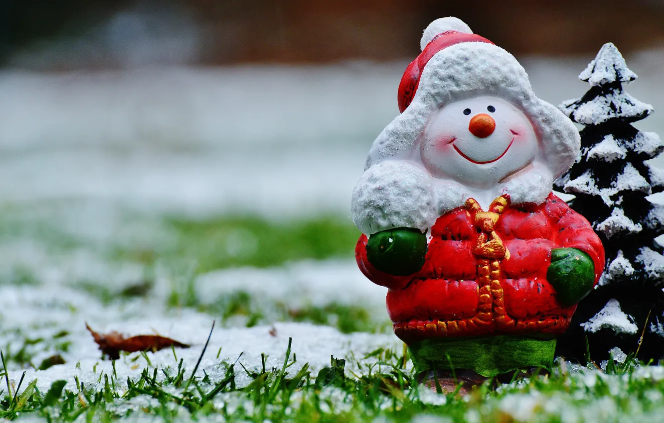 Photo wallpaper grass, snow, smile, holiday, toy, new year, jacket, Christmas