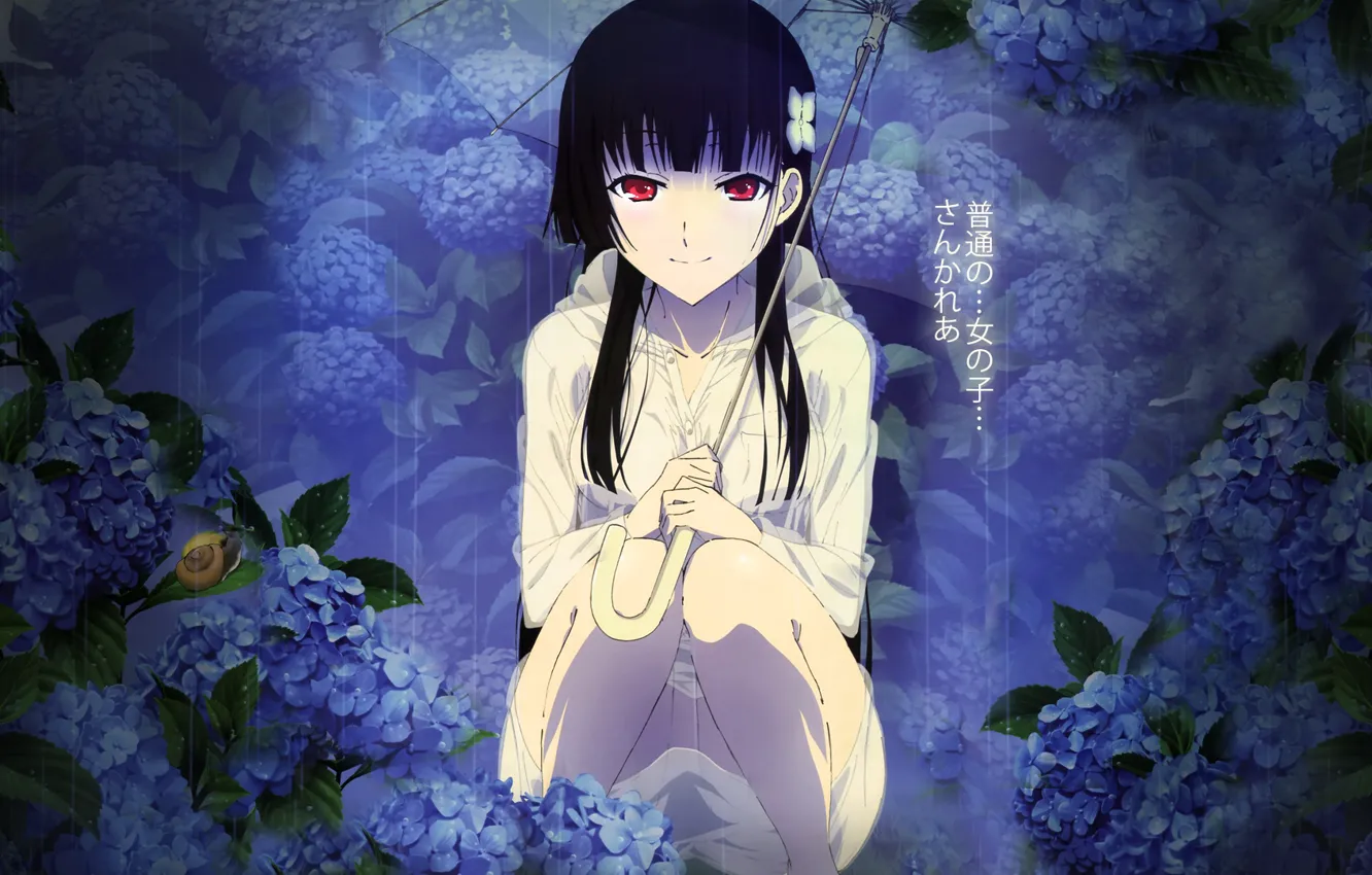 Photo wallpaper girl, flowers, umbrella, anime, Sankarea