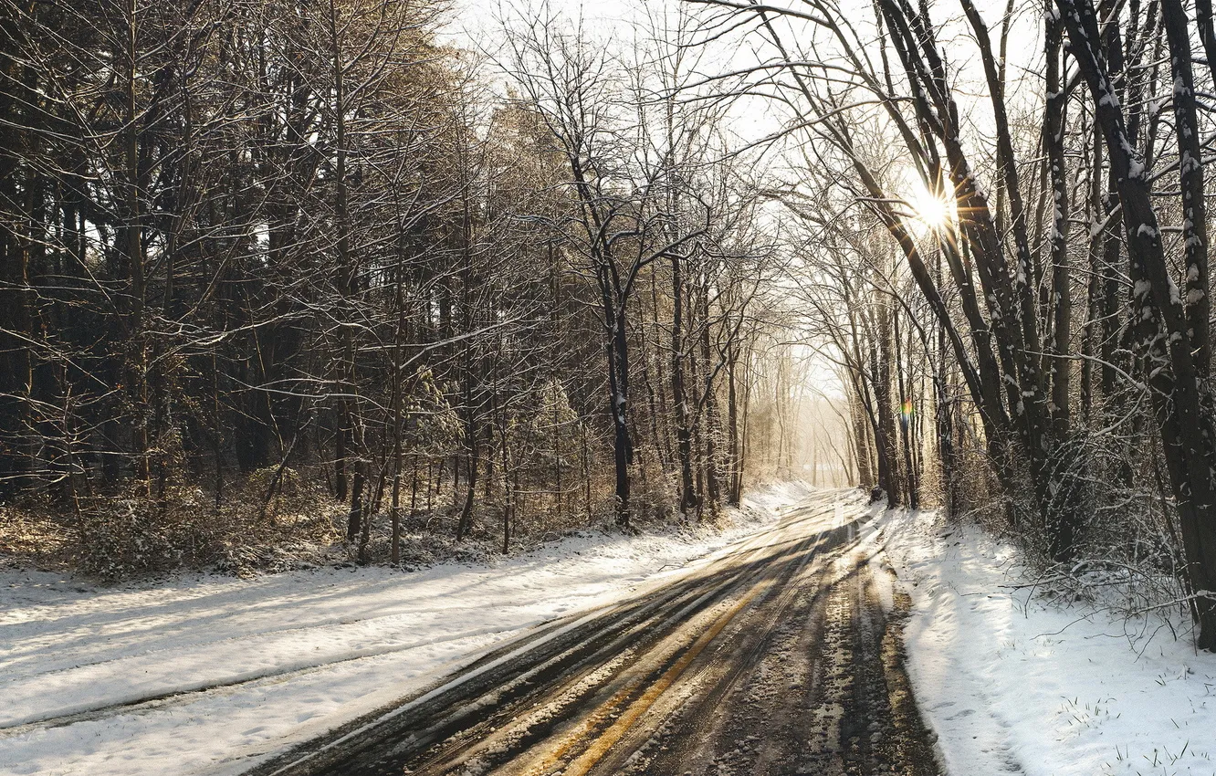 Photo wallpaper winter, road, forest