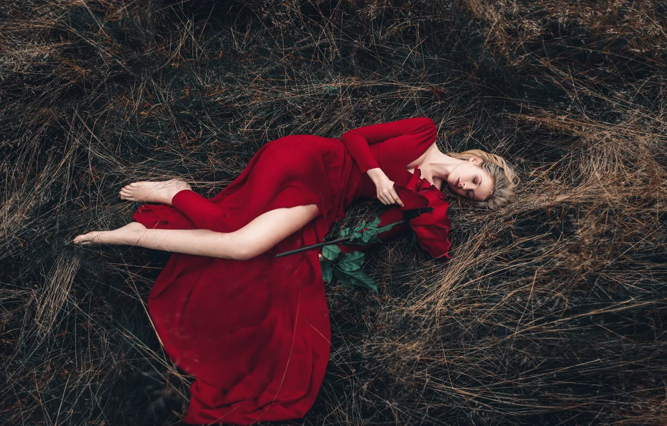 Photo wallpaper girl, flowers, roses