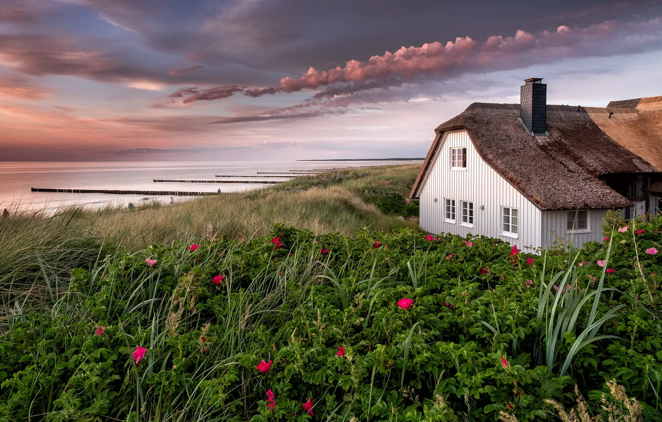 Photo wallpaper sea, shore, home