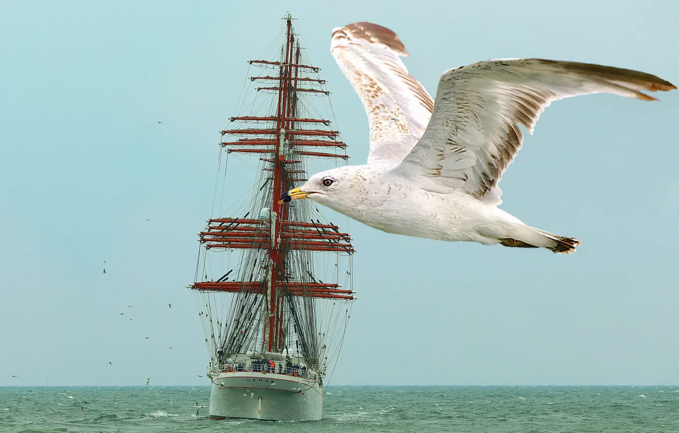 Photo wallpaper sea, the sky, romance, seagulls, sailboat
