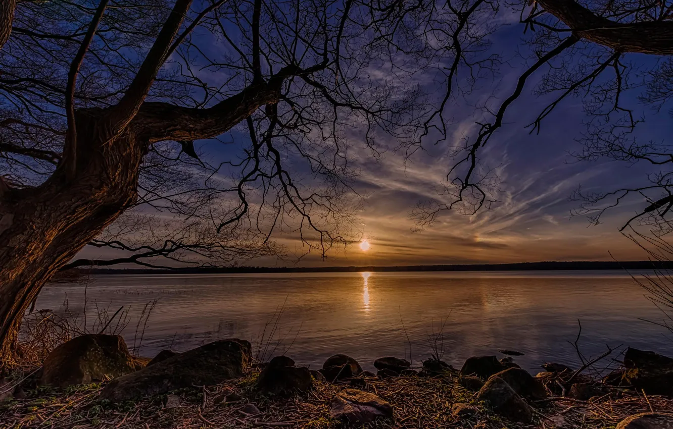 Photo wallpaper the sun, trees, lake, Denmark