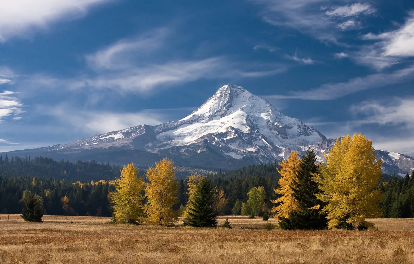 Photo wallpaper autumn, forest, the sky, clouds, mountains, USA, Oregon, stratovolcano
