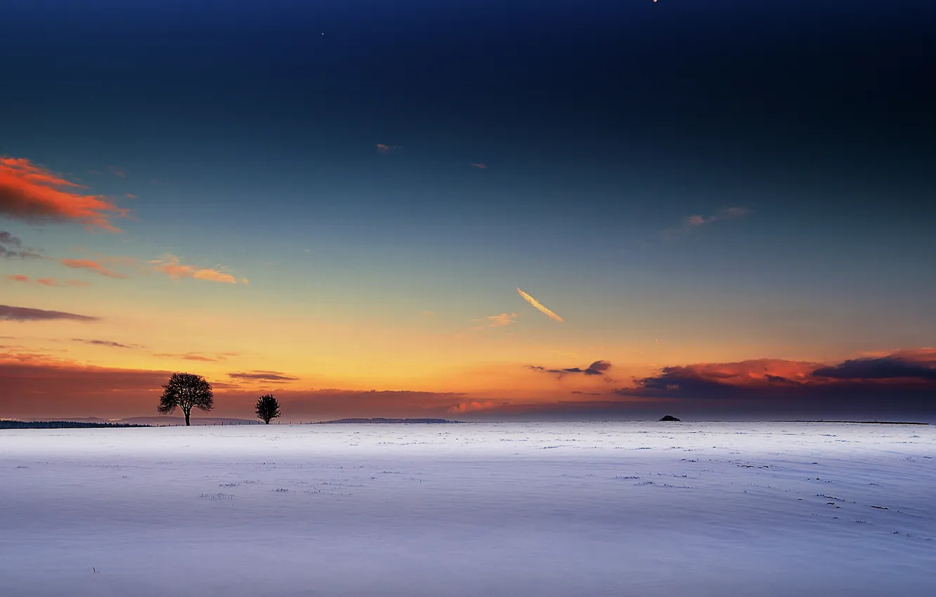 Photo wallpaper field, snow, trees, dawn, the moon, horizon