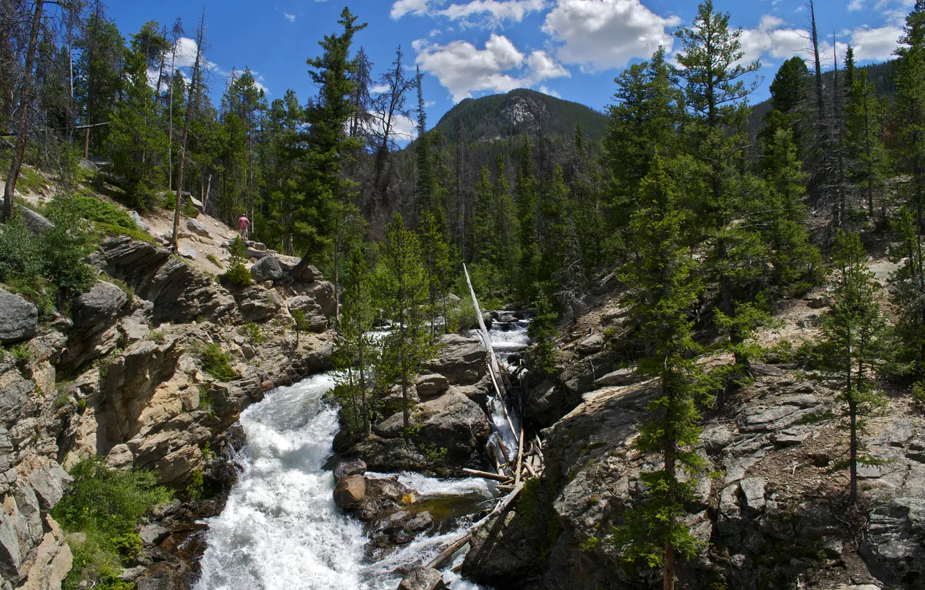 Photo wallpaper trees, mountains, nature, Park, photo, USA, waterfalls, Rocky Mountain