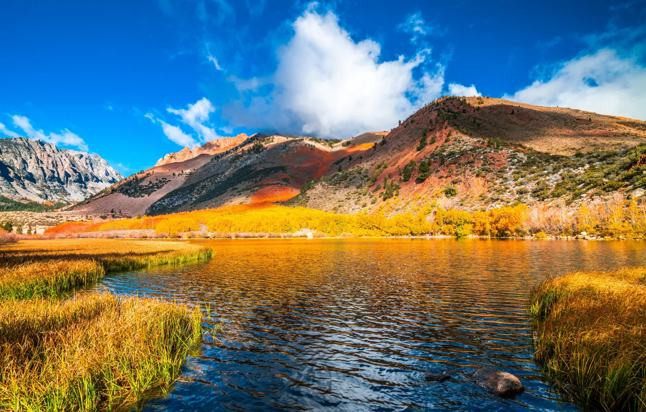 Photo wallpaper autumn, mountains, USA, North Lake