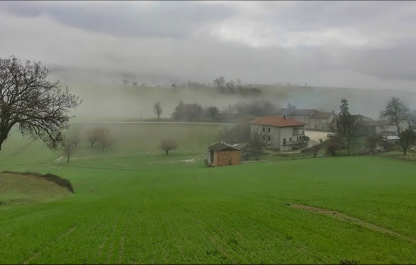 Photo wallpaper grass, trees, fog, house, morning, Italy, Campagna