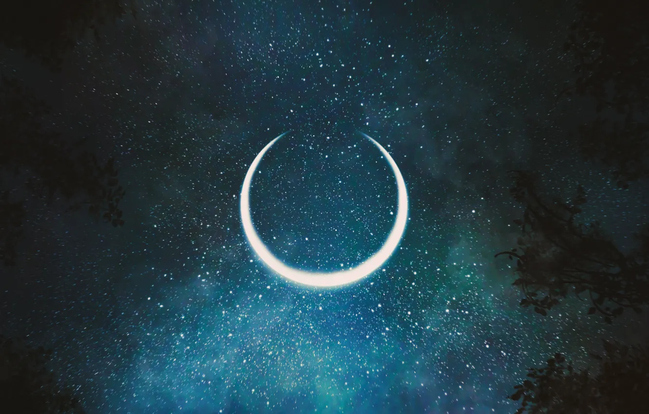 Photo wallpaper the sky, trees, night, Crescent