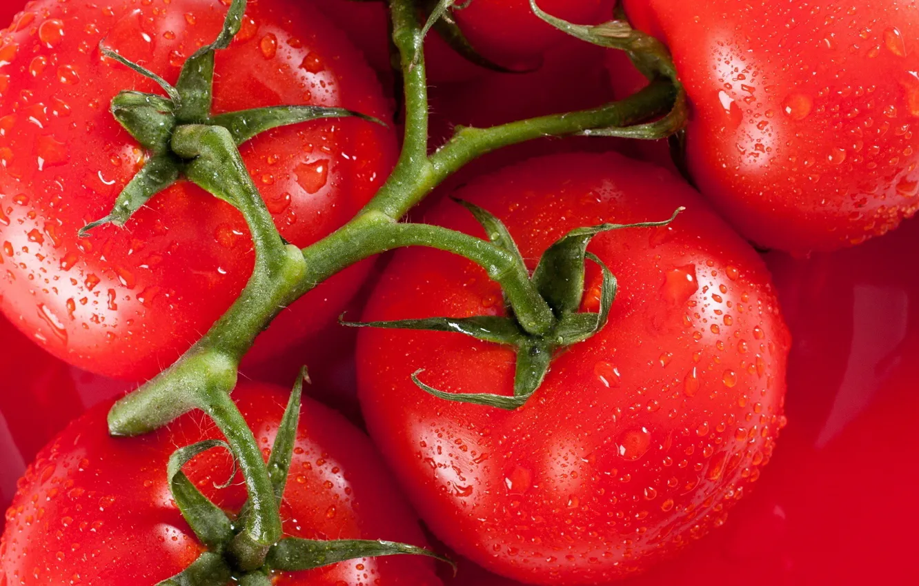 Photo wallpaper drops, vegetables, tomatoes, tomatoes