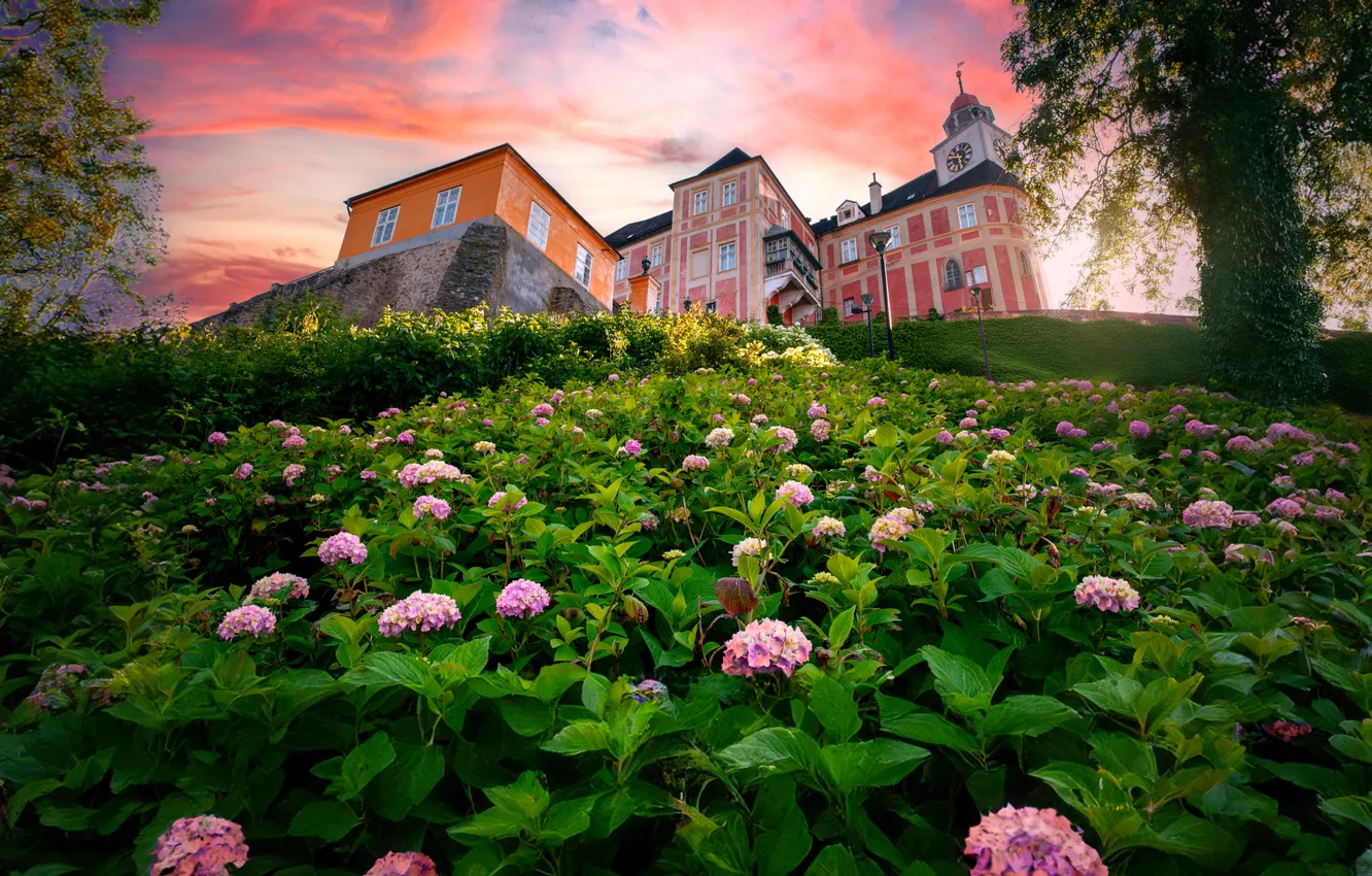 Photo wallpaper flowers, building, slope, Church, hydrangea
