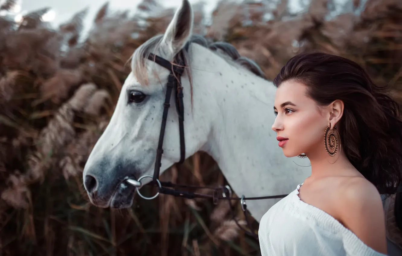 Photo wallpaper girl, horse, Aliya Lando, Ivan Gorokhov