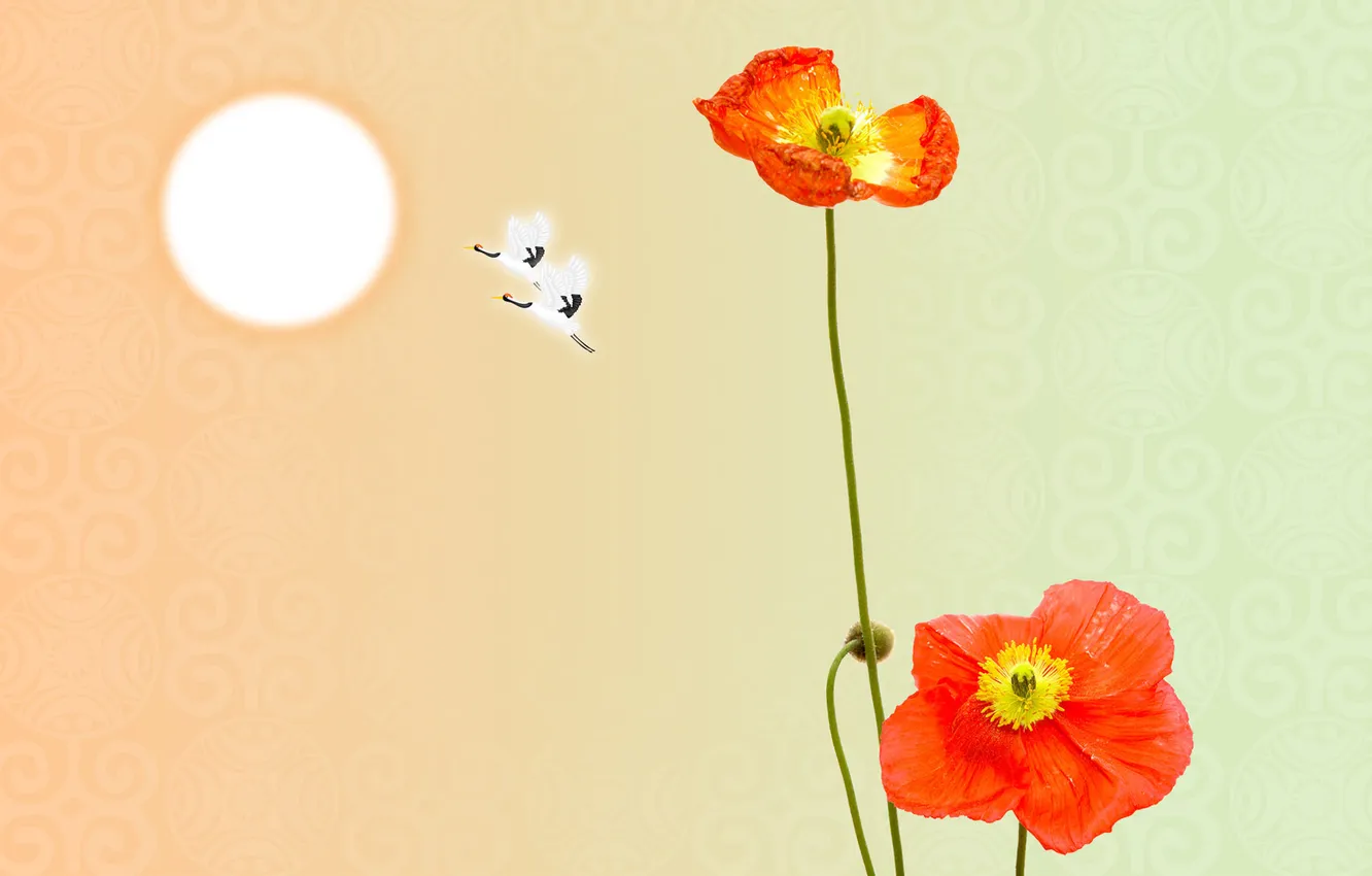 Photo wallpaper the sun, bird, Wallpaper, figure, Maki, stems