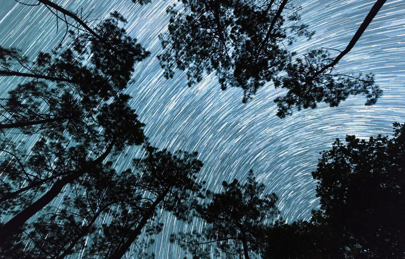 Photo wallpaper trees, France, stars, Dordogne