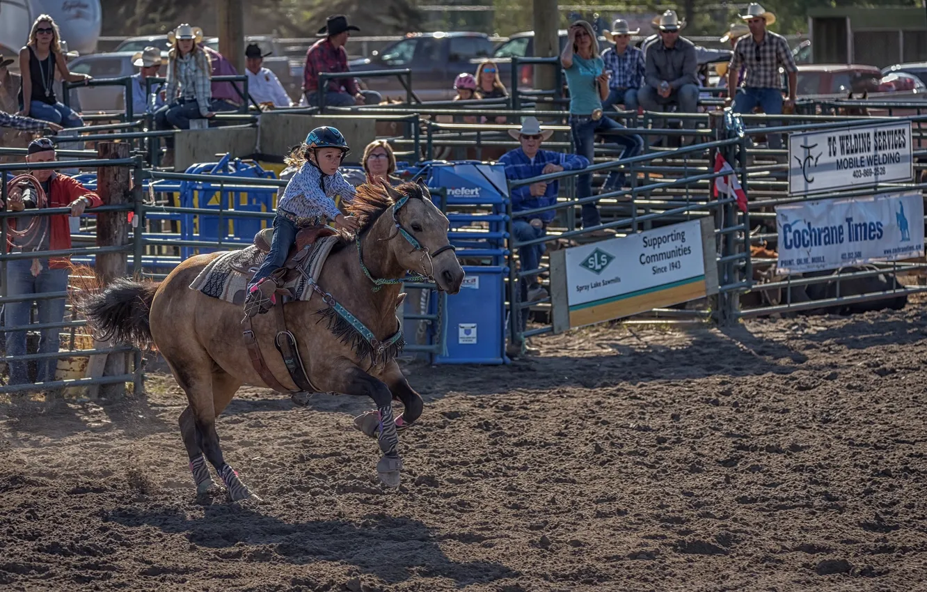 Photo wallpaper horse, girl, Rodeo