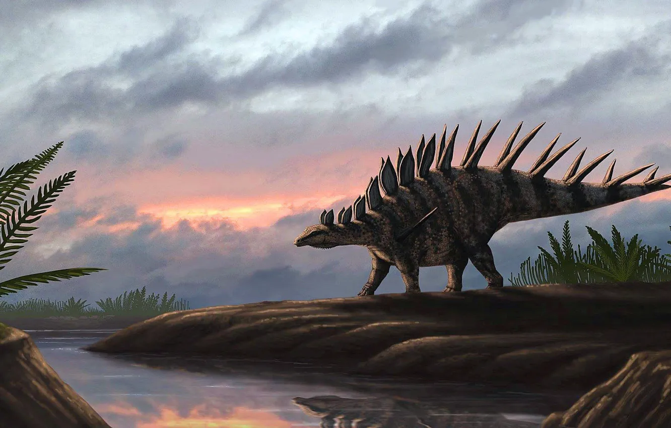 Photo wallpaper Dinosaur, Ancient animals, Extinct animals, Kentrosaurus aethiopicus, Centrosaurus