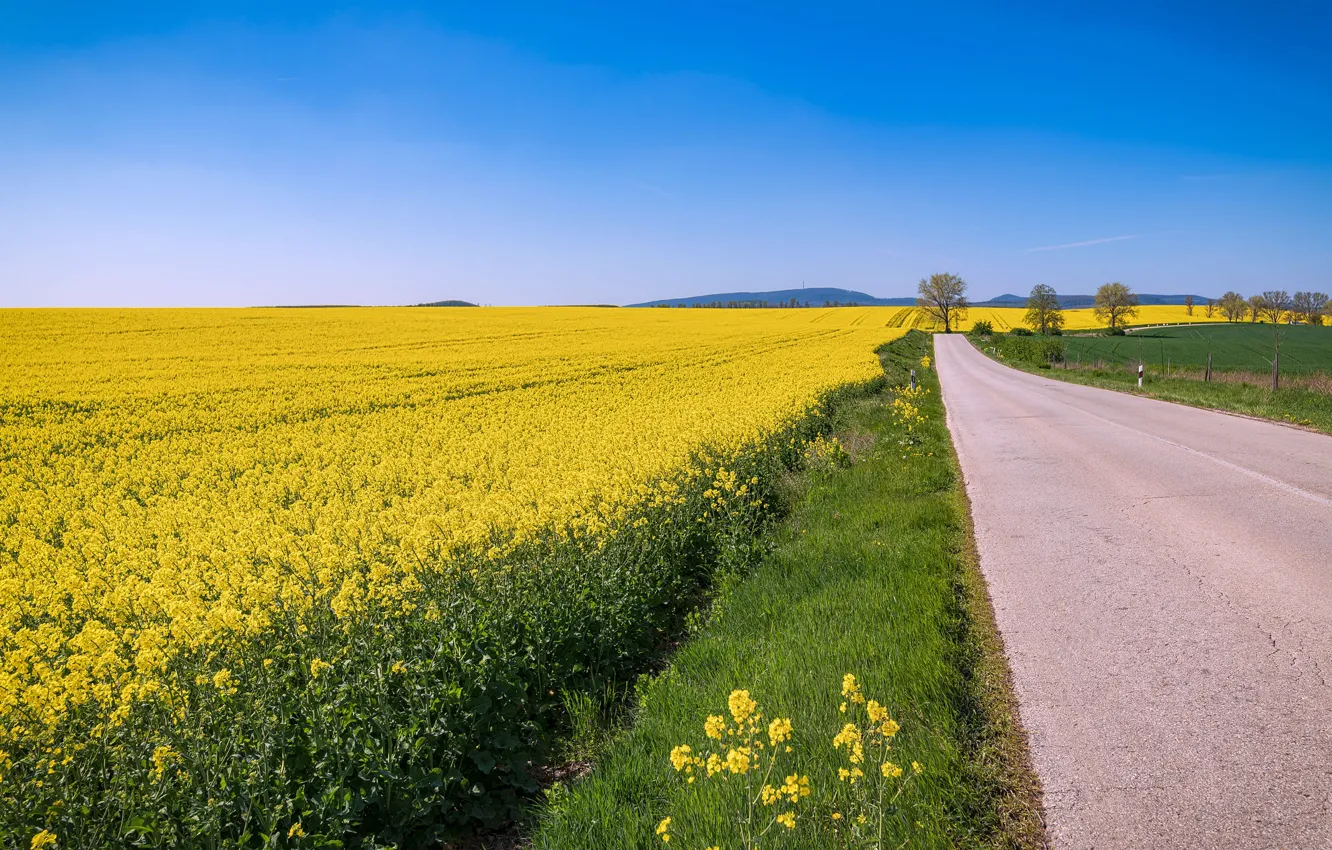 Photo wallpaper road, the sky, space, rape, rapeseed field