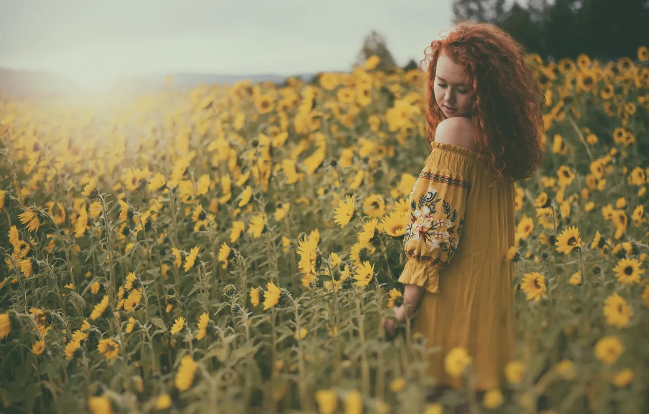 Photo wallpaper field, sunflowers, mood, red, redhead