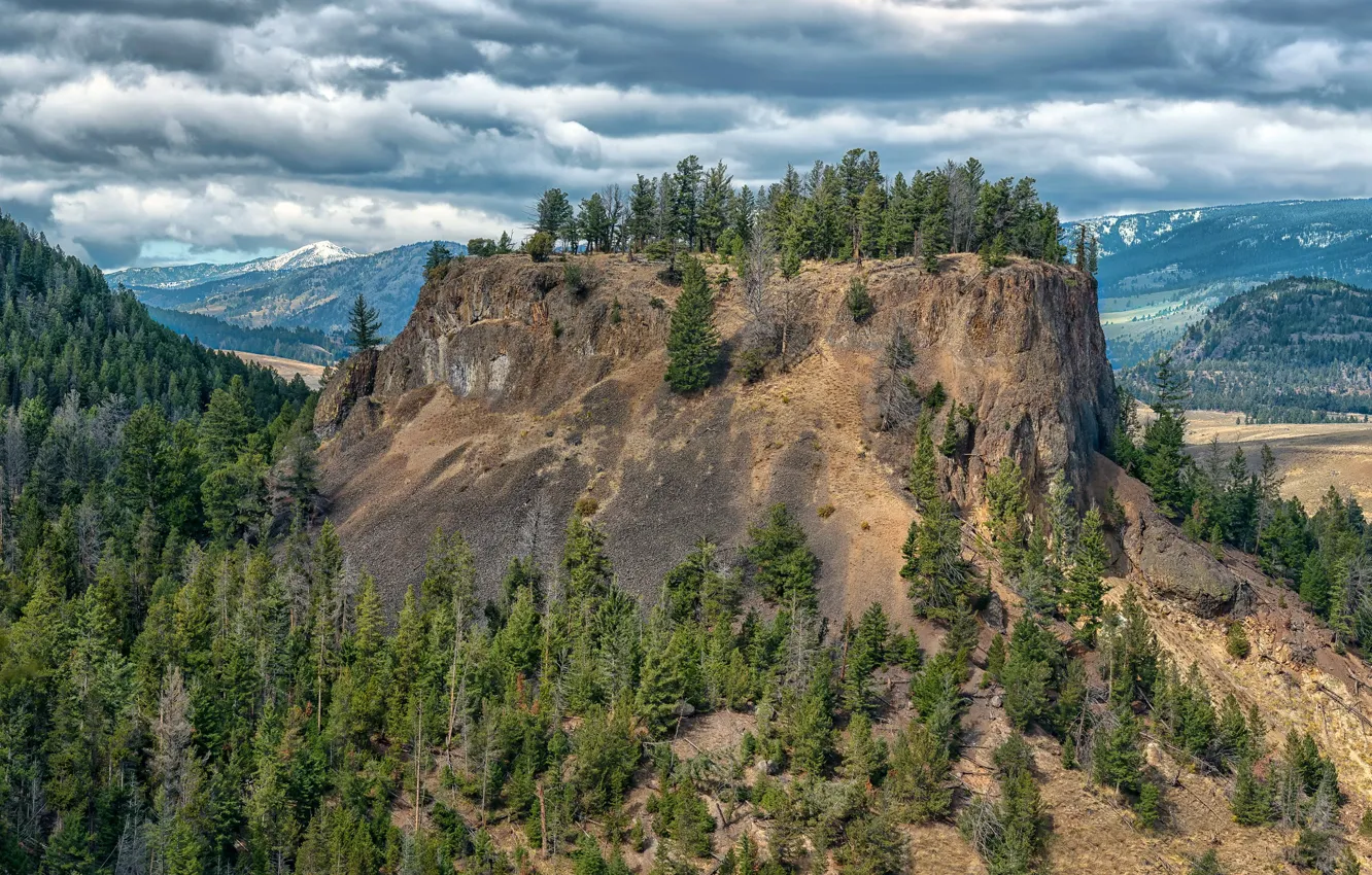 Photo wallpaper forest, clouds, trees, mountains, rocks, USA, Yellowstone National Park