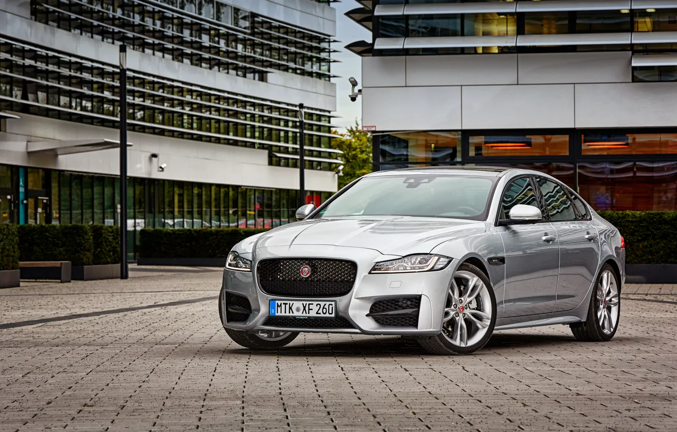 Photo wallpaper Jaguar, Jaguar, 2015, R-Sport
