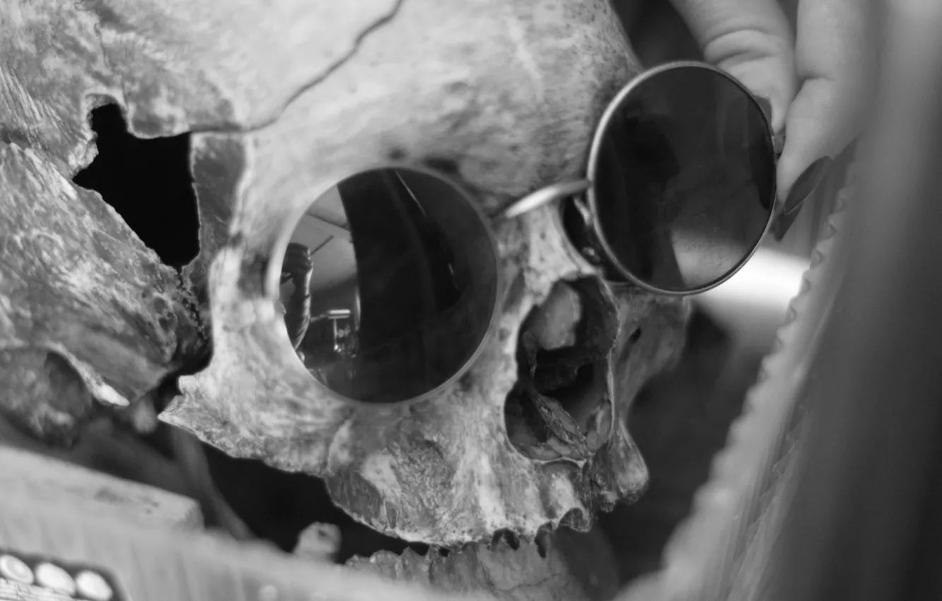 Photo wallpaper skull, glasses, HUDGRAF