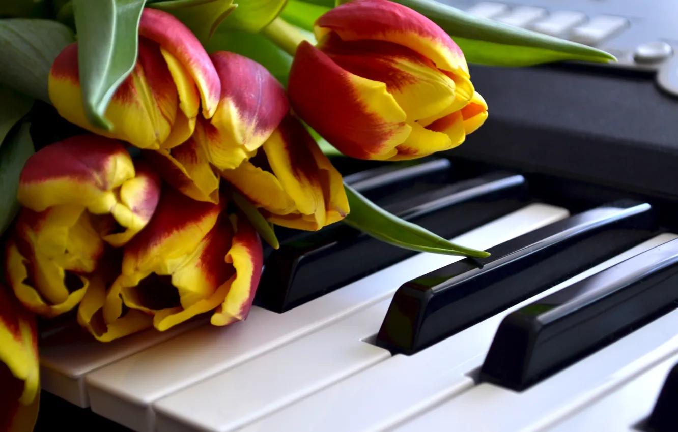 Photo wallpaper Flowers, Tulips, Keys