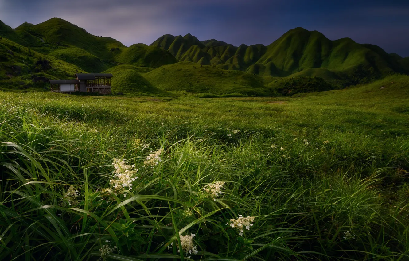Photo wallpaper mountains, hills, greens, field, meadow, summer, grass, structure