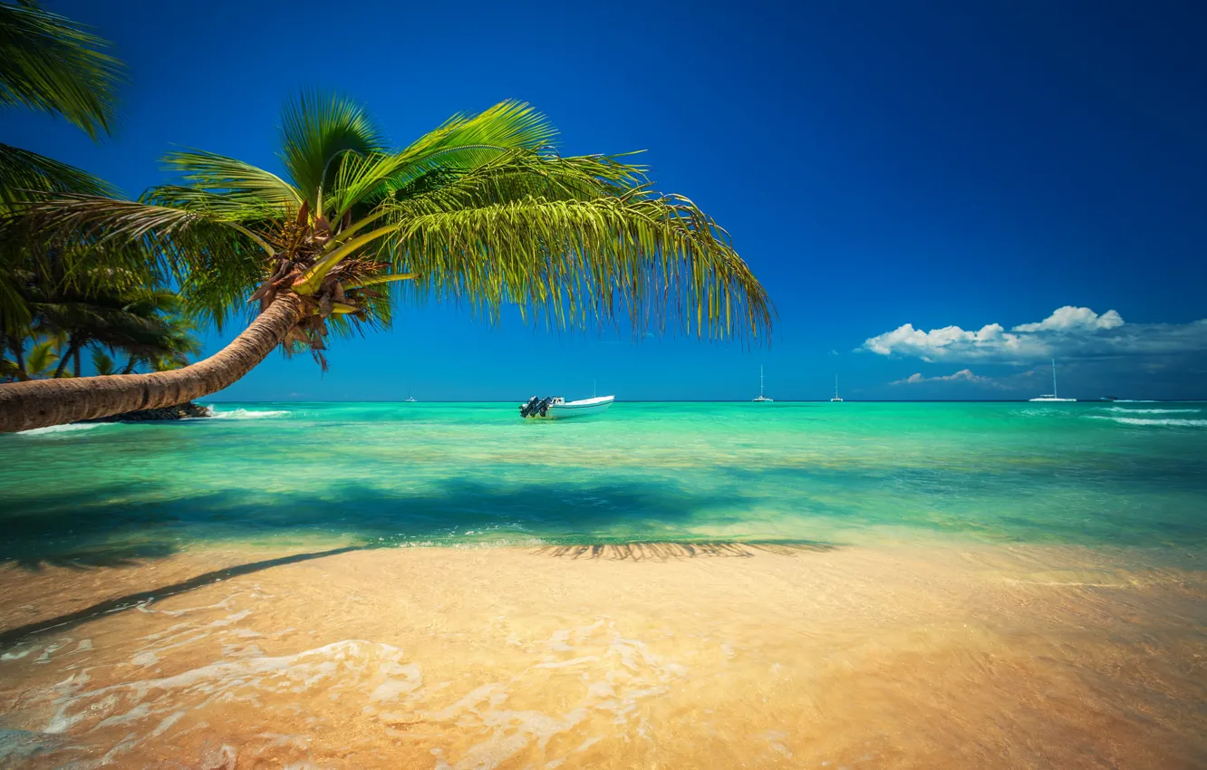 Photo wallpaper Palma, boat, island, resort, tropical, beautiful