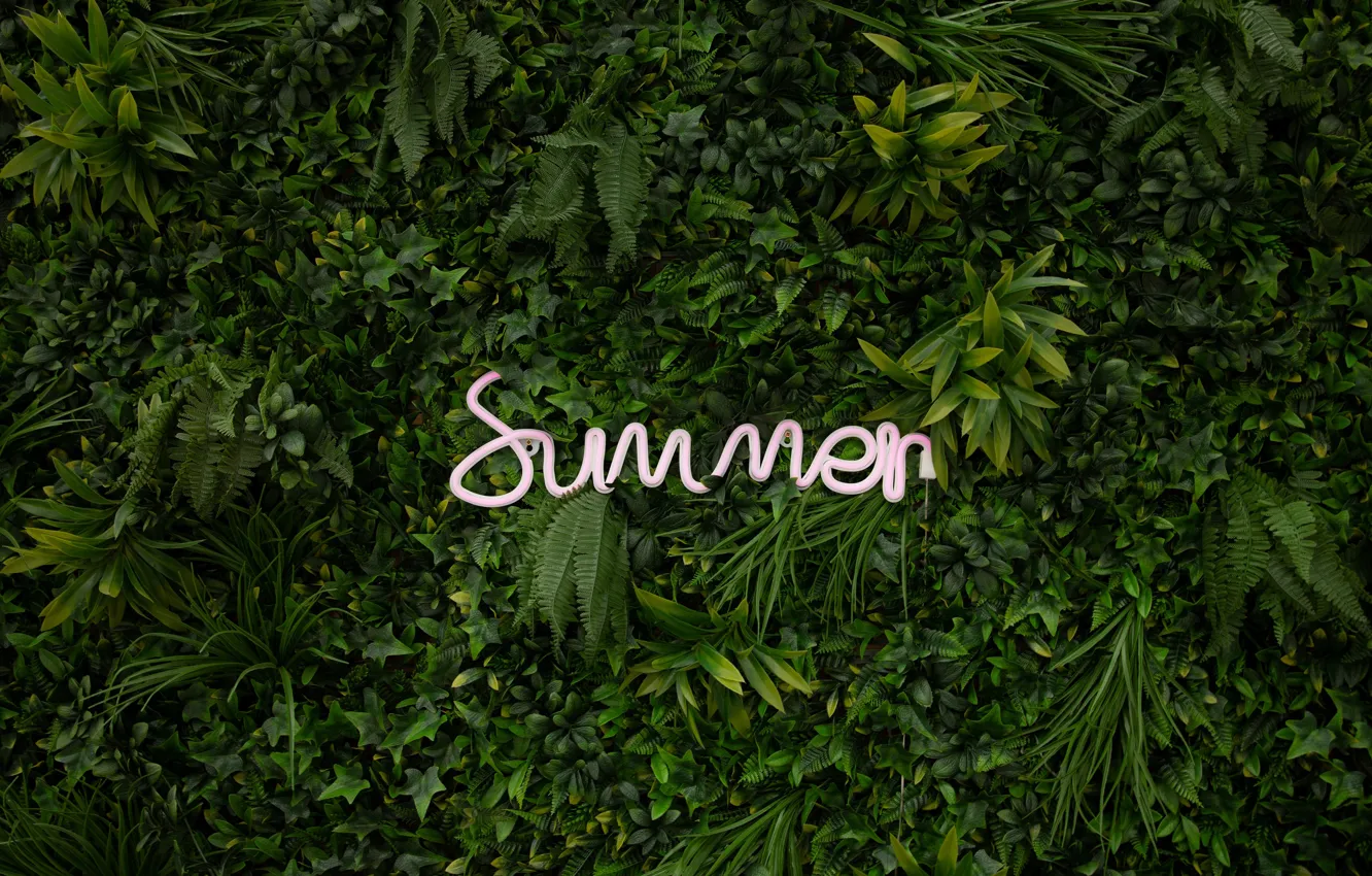 Photo wallpaper summer, leaves, plants, neon, summer, neon