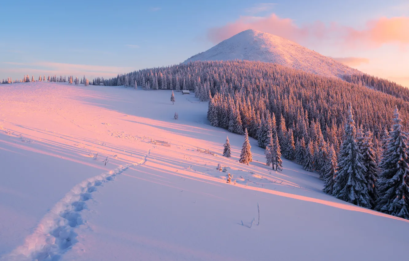 Photo wallpaper winter, forest, clouds, rays, light, snow, landscape, mountains